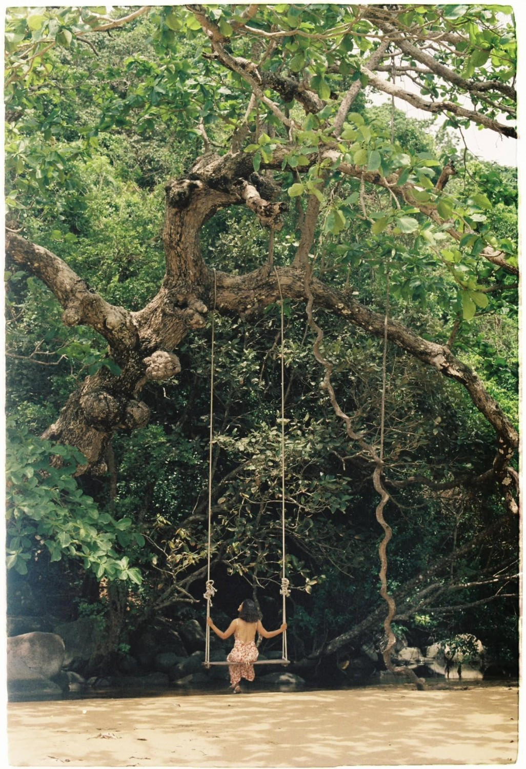 Khung cảnh yên tĩnh, hoang sơ tại Bãi Đầm Trầu Nhỏ Côn Đảo