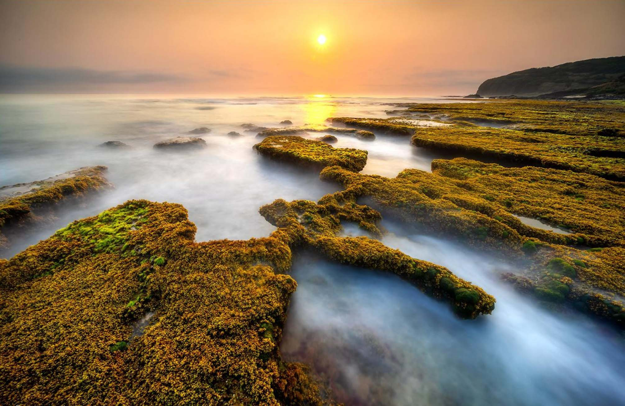 Bãi Bàng Phú Yên