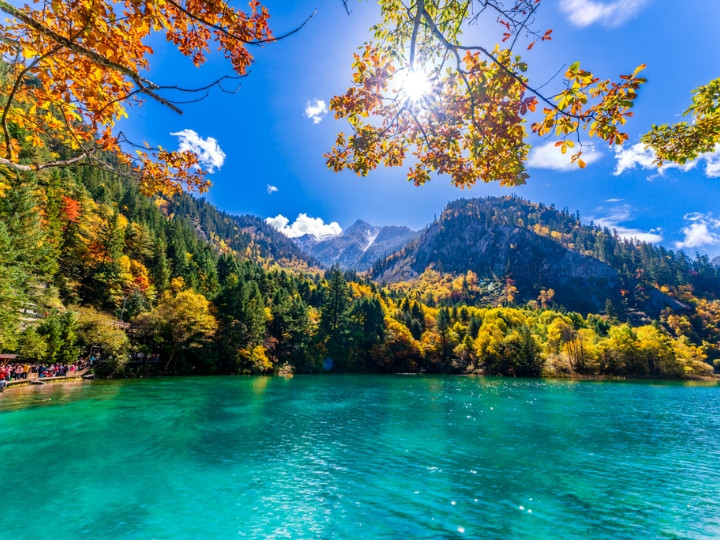 cuu trai cau trung quoc 1 1