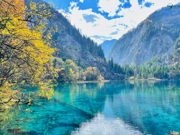 Cảnh sắc mùa thu với những tán lá chuyển màu vàng tại Cửu Trại Câu