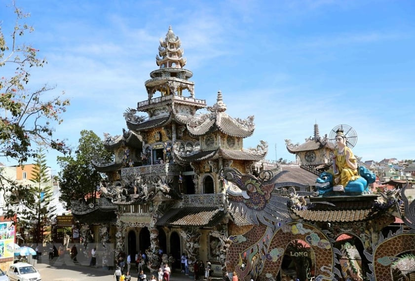 Cánh đồng hoa bất tử rực rỡ sắc màu gần khu vực đồi chè Cầu Đất