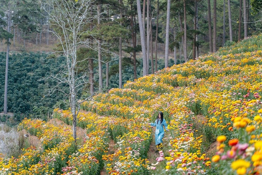 Kiến trúc độc đáo của Chùa Linh Phước (Chùa Ve Chai) gần Đồi chè Cầu Đất