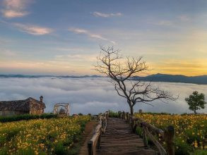 Khung cảnh Đà Lạt với không khí mát mẻ