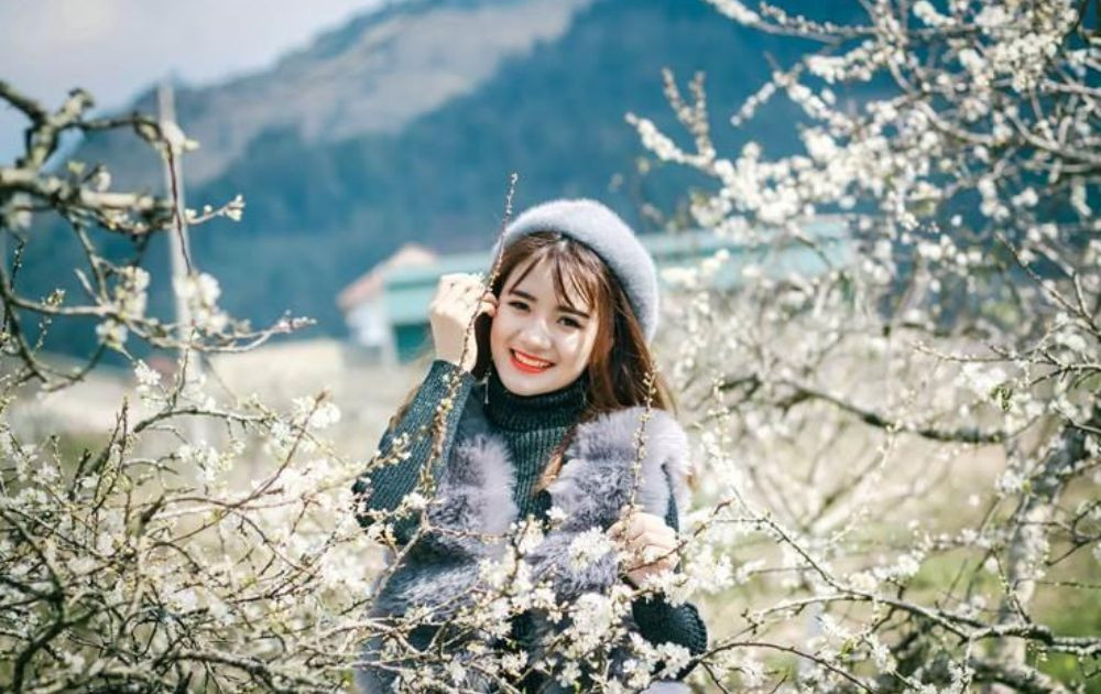 Chụp ảnh thiếu nữ mặc áo dài trắng giữa vườn hoa mận rực rỡ