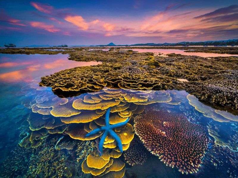 Cảnh quan địa chất độc đáo tại Ghềnh Yến