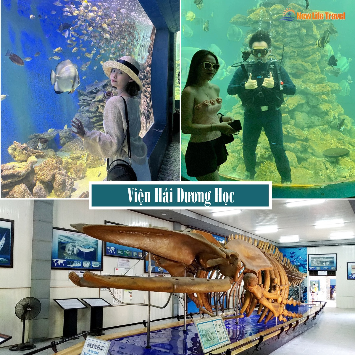 City Tour Nha Trang 1 Ngày: Khám phá Trọn Vẹn "Thành phố biển" 1 Du khách tham quan Viện Hải Dương Học - City tour Nha Trang