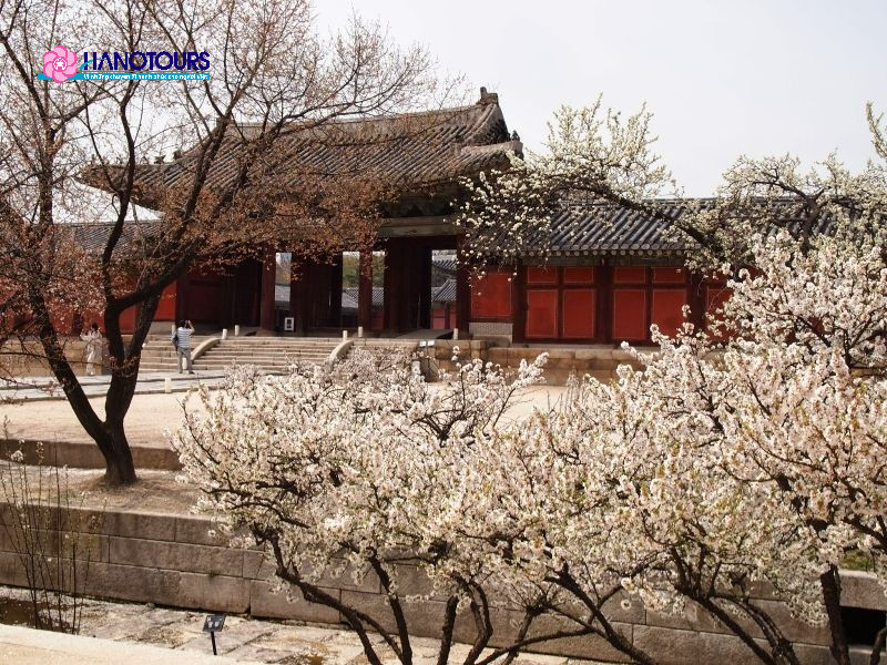 Cung điện Changdeokgung hài hòa với thiên nhiên, nổi bật với Khu vườn Bí mật