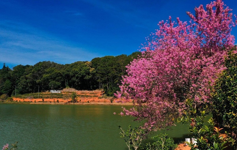 Măng Đen Ở Đâu? Cẩm Nang Khám Phá "Đà Lạt Thu Nhỏ" Của Kon Tum 7 Khung cảnh hồ Đăk Ke (Toong Rơ Poong) với mặt nước yên bình