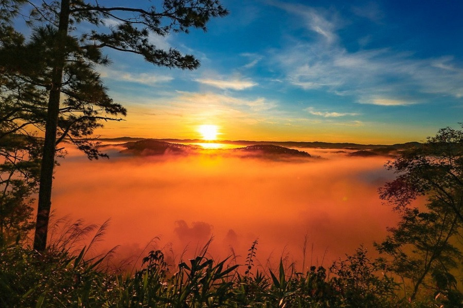 Măng Đen Ở Đâu? Cẩm Nang Khám Phá "Đà Lạt Thu Nhỏ" Của Kon Tum 8 Khung cảnh biển mây trắng bồng bềnh khi săn mây tại Măng Đen