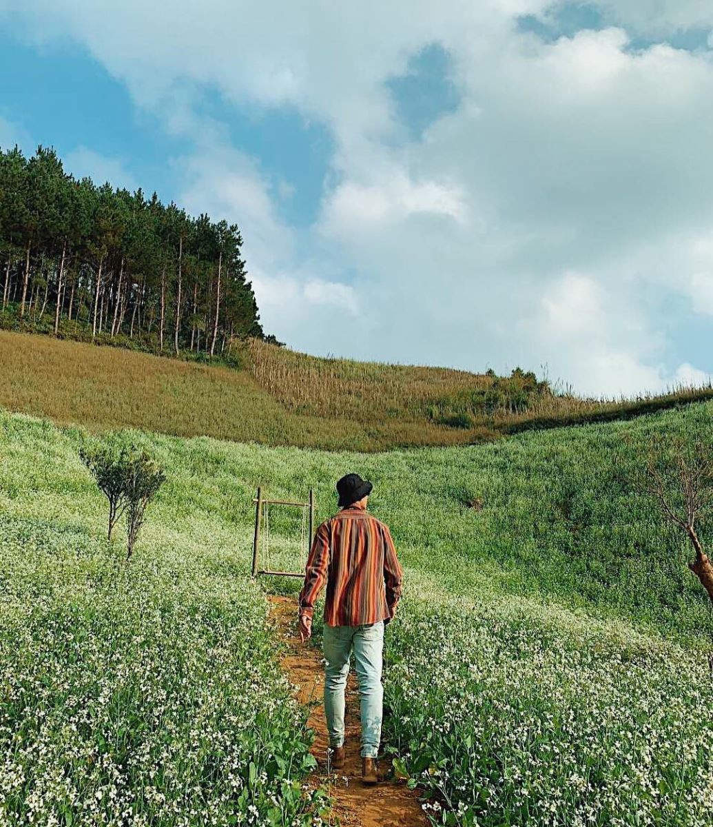 Cẩm Nang Du Lịch Tây Bắc: Khám Phá 6 Tỉnh, Địa Lý Và Nét Đẹp Văn Hóa A-Z 10 Đồi chè xanh mướt dưới ánh nắng ở Mộc Châu, Sơn La