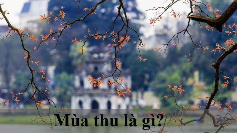 mua thu bat dau tu thang may 1