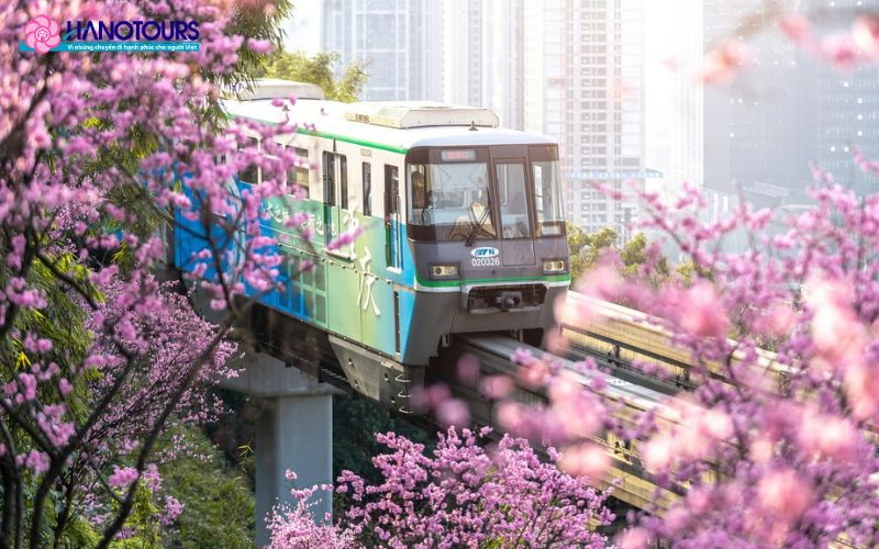 Mùa xuân là thời điểm thích hợp để hòa mình vào văn hóa bản địa