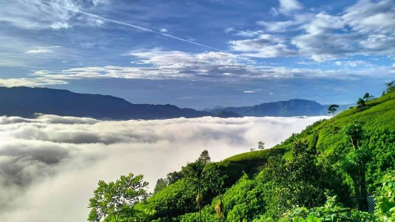 Núi Cà Đam - nóc nhà Quảng Ngãi với khung cảnh rừng núi hùng vĩ