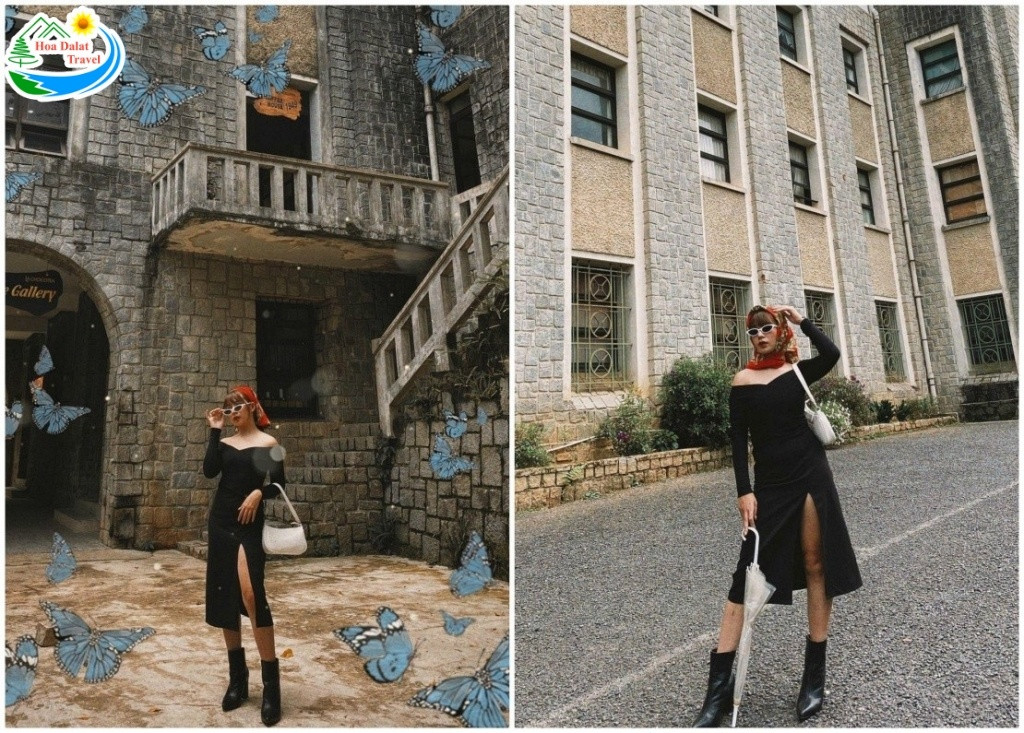 Khám Phá Phân Viện Sinh Học Đà Lạt: Nơi Lưu Giữ Kho Báu Tây Nguyên và Điểm Check-in Lịch Sử 10 Phải chăng đây là thế giới thần tiên rêu phong cổ kính