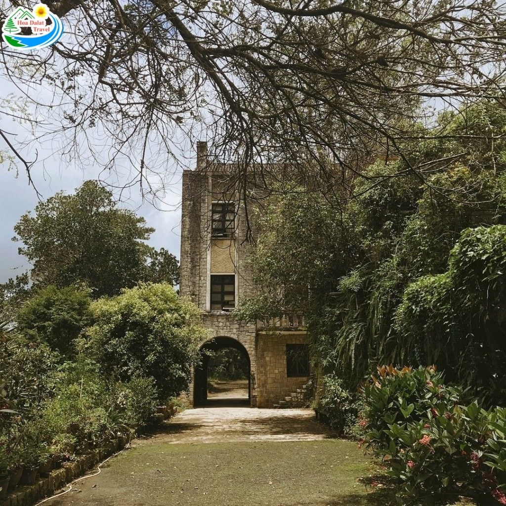 Khám Phá Phân Viện Sinh Học Đà Lạt: Nơi Lưu Giữ Kho Báu Tây Nguyên và Điểm Check-in Lịch Sử 13 Nét đẹp hoang sơ, ma mị không lẫn vào đâu được