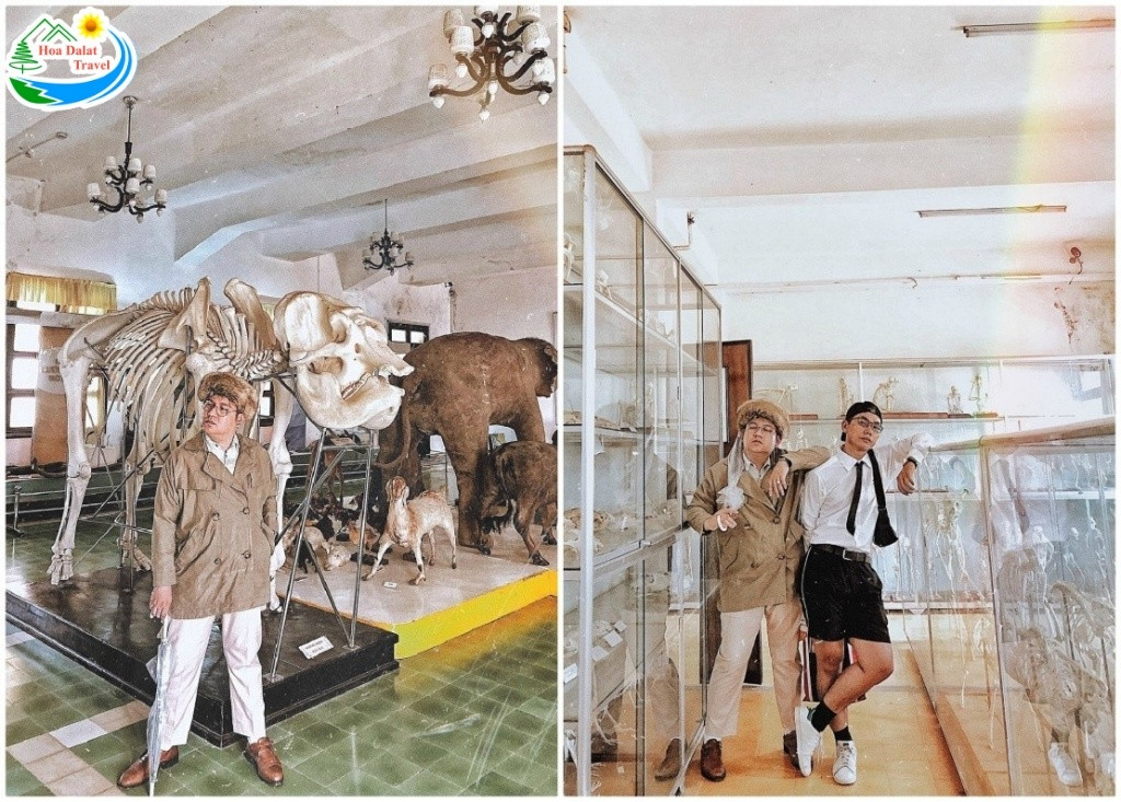 Khám Phá Phân Viện Sinh Học Đà Lạt: Nơi Lưu Giữ Kho Báu Tây Nguyên và Điểm Check-in Lịch Sử 6 Chiêm ngưỡng những loài động vật quý hiếm được bảo tồn