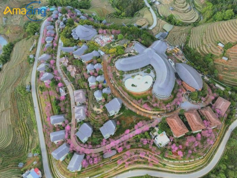 Mù Cang Chải Resort với các bungalow nhỏ hướng ra cánh đồng lúa