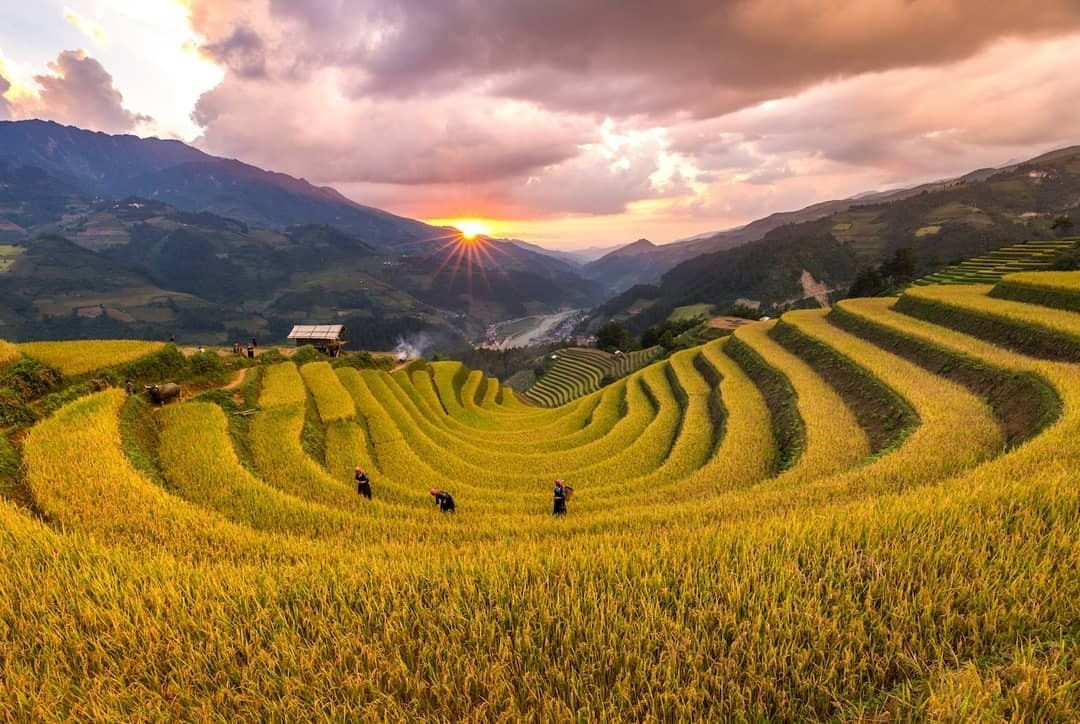 Cẩm Nang Du Lịch Tây Bắc: Khám Phá 6 Tỉnh, Địa Lý Và Nét Đẹp Văn Hóa A-Z 11 Cô gái dân tộc Thái trong trang phục truyền thống rực rỡ