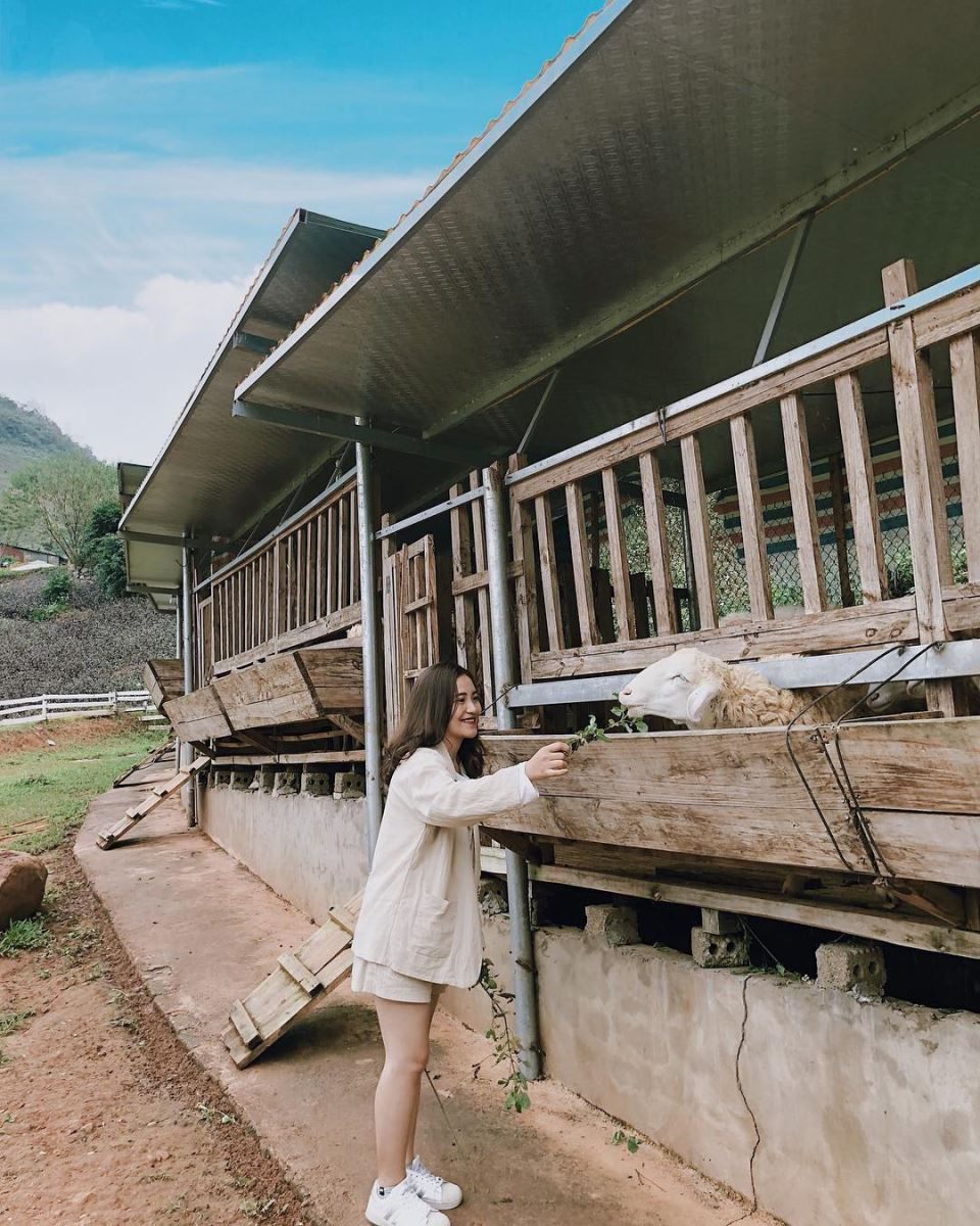 Cẩm Nang Du Lịch Tây Bắc: Khám Phá 6 Tỉnh, Địa Lý Và Nét Đẹp Văn Hóa A-Z 21 Cổng vào khu du lịch Happy Land Mộc Châu