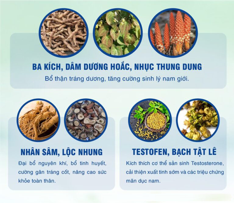 Thảo dược và tinh chất hỗ trợ sinh lý nam