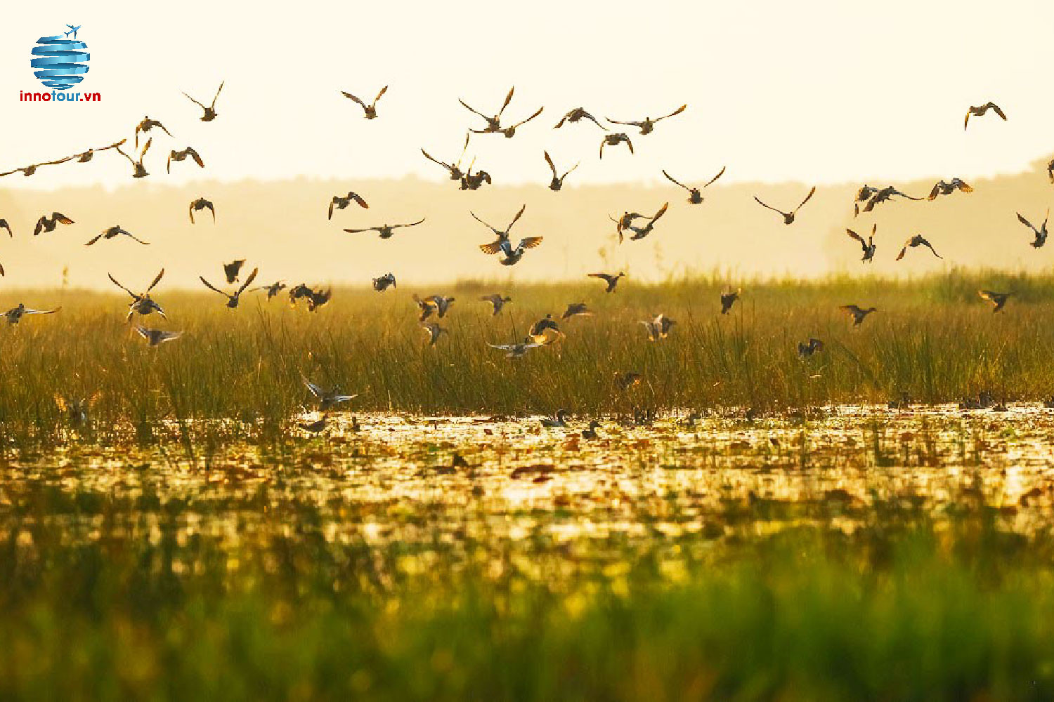 Cảnh hoàng hôn lãng mạn trên xuồng tại Vườn Quốc gia Tràm Chim