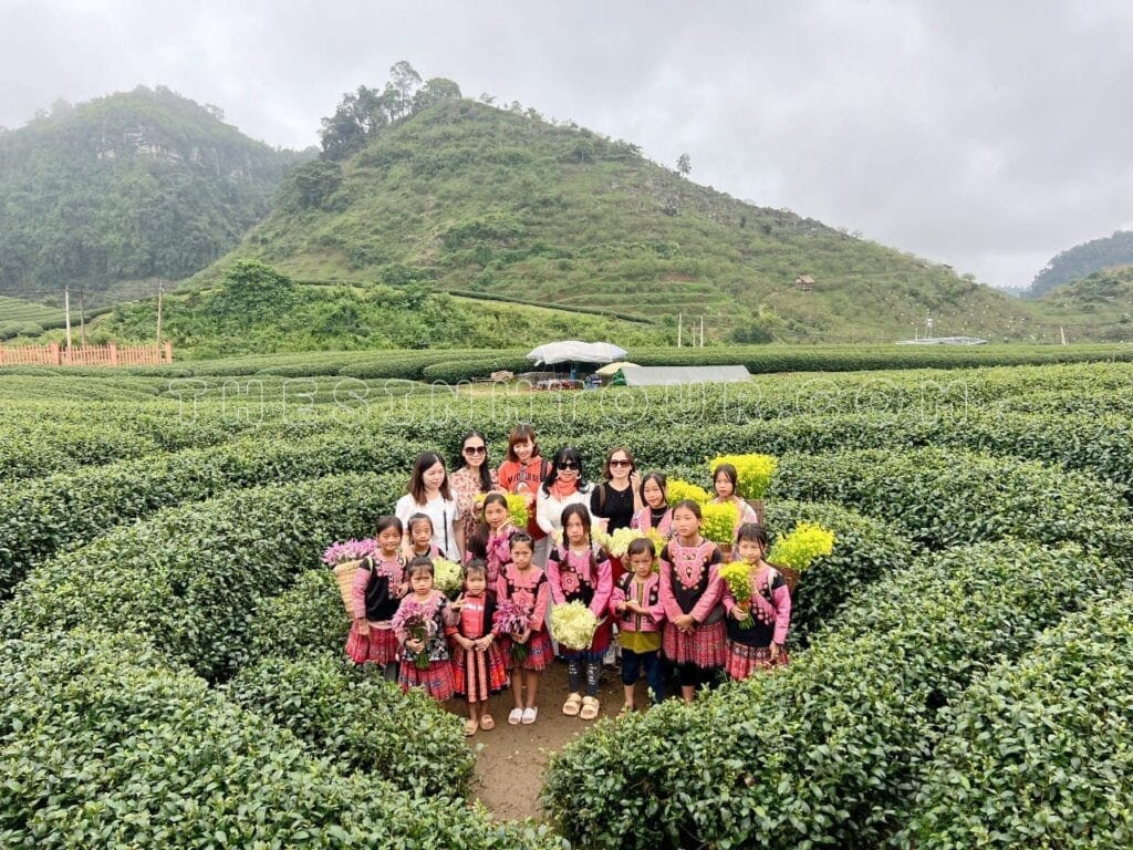 tour moc chau 2 ngay 1 dem 5 1