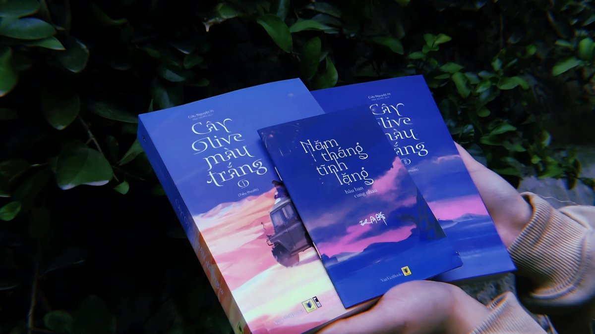 Cây Ô Liu Màu Trắng - Tác phẩm về tình yêu giữa chiến trường