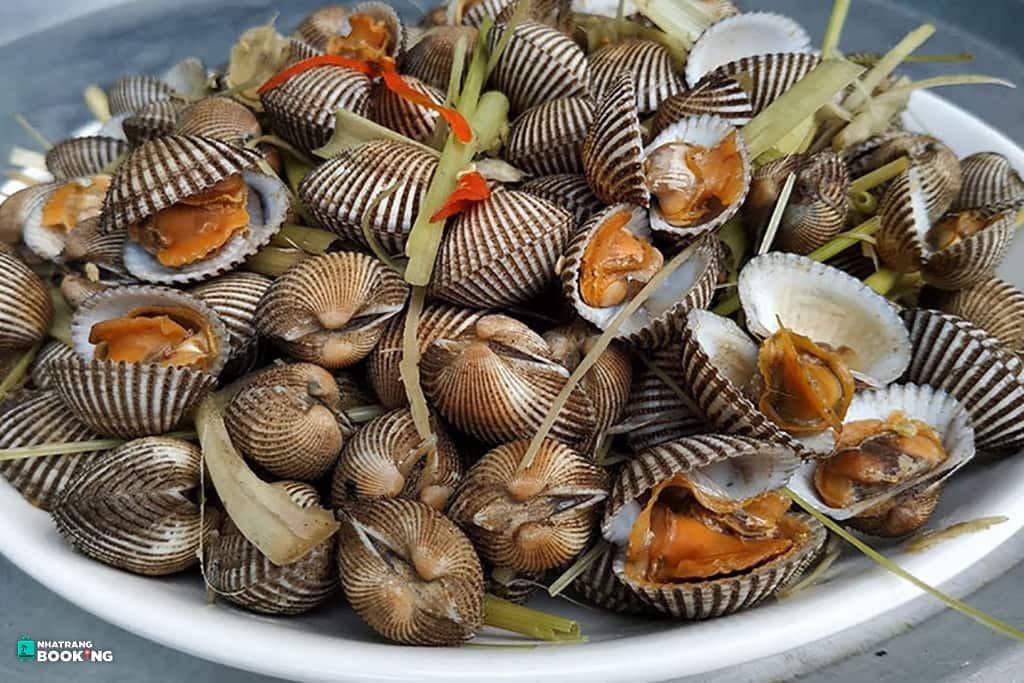 Sò huyết Thủy Triều được chế biến hấp dẫn