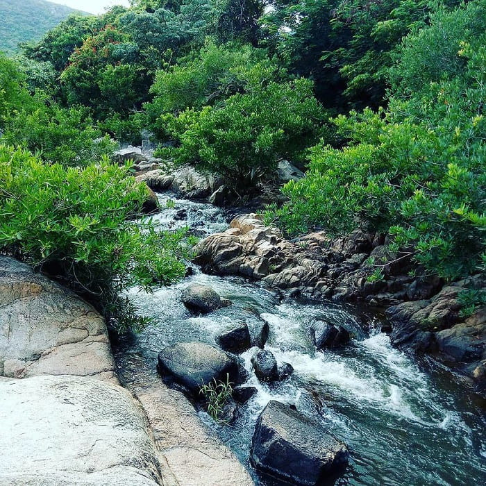 Suối Lồ Ồ trong mát chảy qua các tảng đá lớn