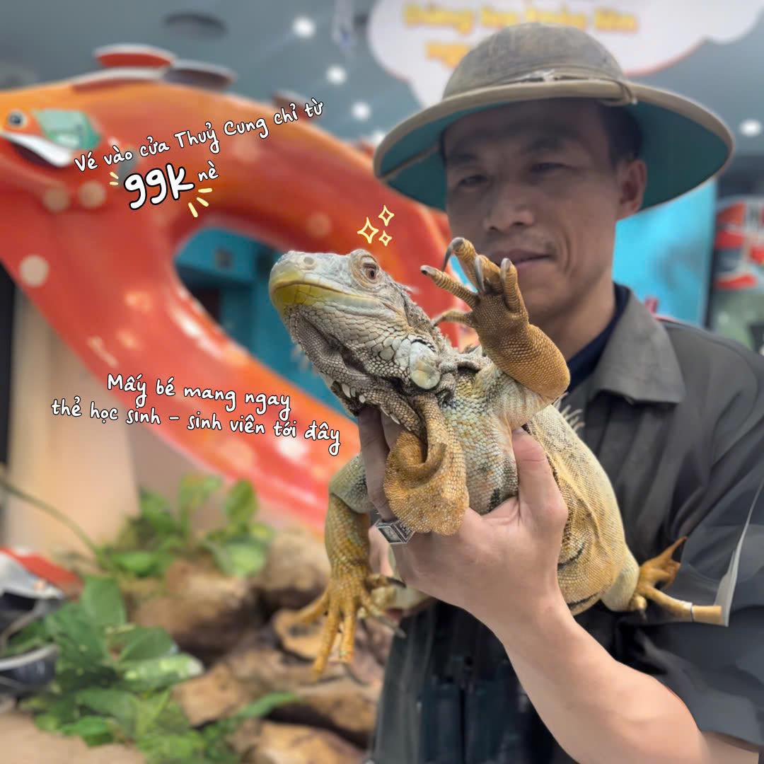 Khu vui chơi giáo dục VinKE và Thủy cung Vinpearl Aquarium Times City