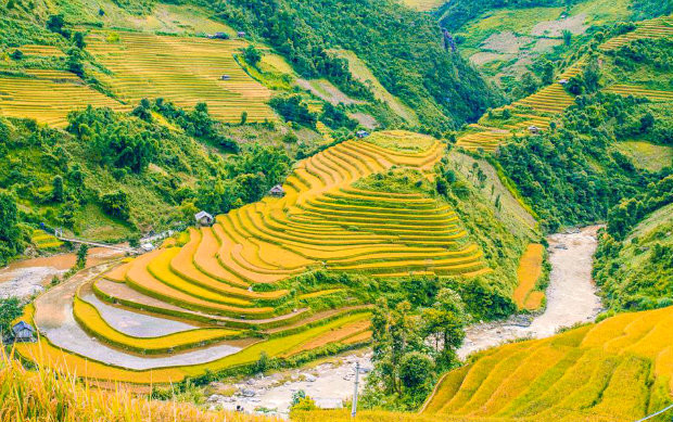 Khắp nơi ở Mù Cang Chải đều dễ dàng bắt gặp những ruộng bậc thang cao vút đến tận trời