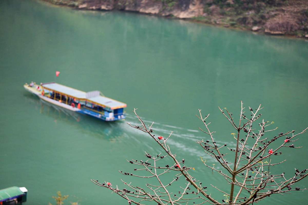 Hẻm Tu Sản Sông Nho Quế: Khám Phá Hẻm Vực Sâu Nhất Đông Nam Á 4 Những con thuyền ngược xuôi dòng Nho Quế