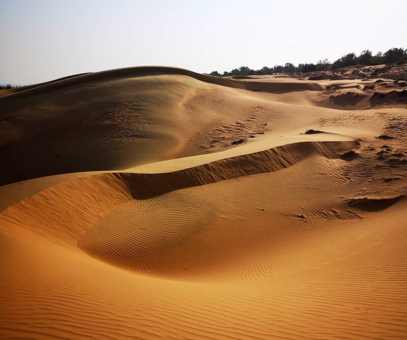 Đồi Cát Vàng rực rỡ dưới ánh nắng chiều