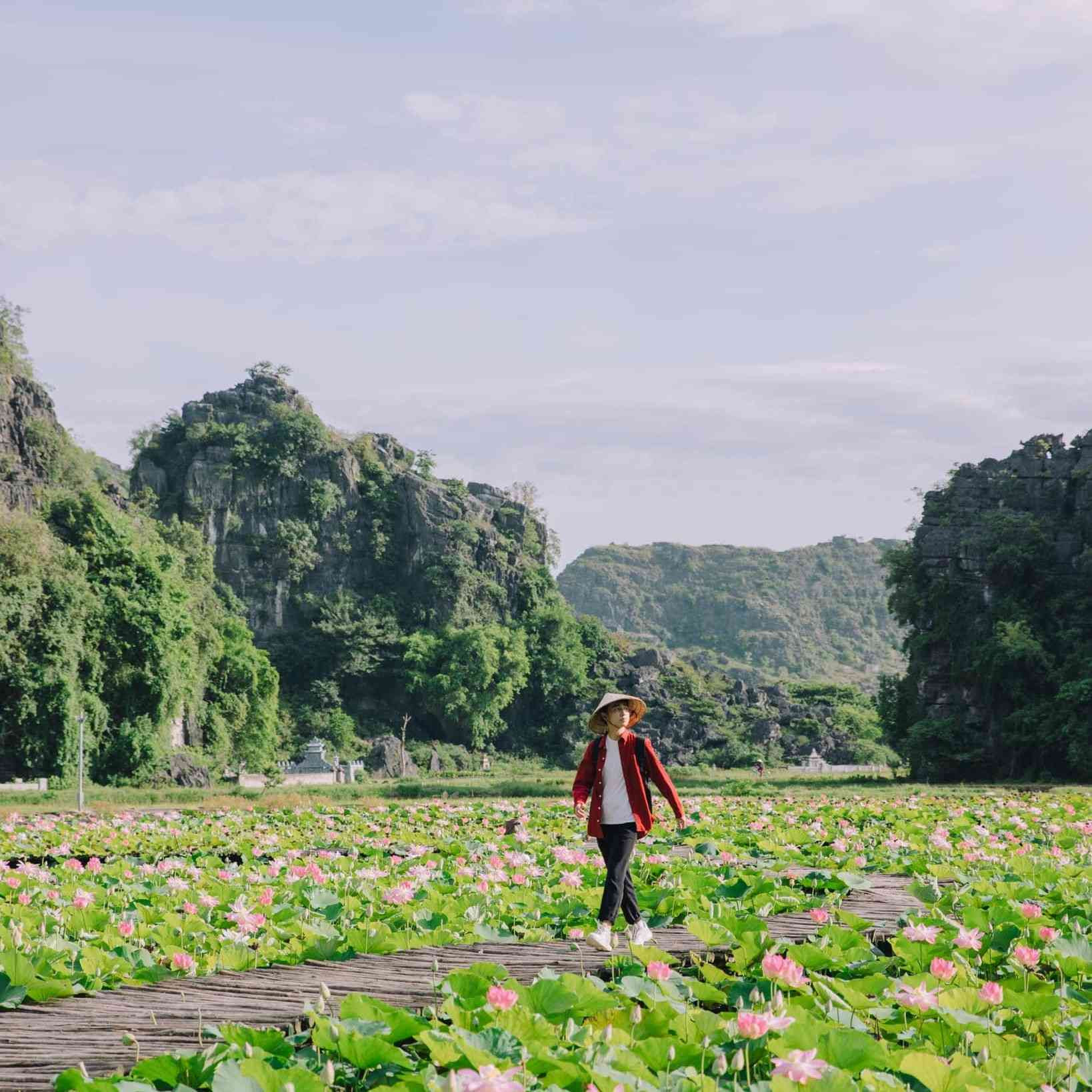 Hang Múa Ninh Bình: Kinh Nghiệm Tham Quan "Vạn Lý Trường Thành Thu Nhỏ" (Cẩm Nang Mới 2025) 5 Con đường dẫn đến khu du lịch Hang Múa khá thuận tiện