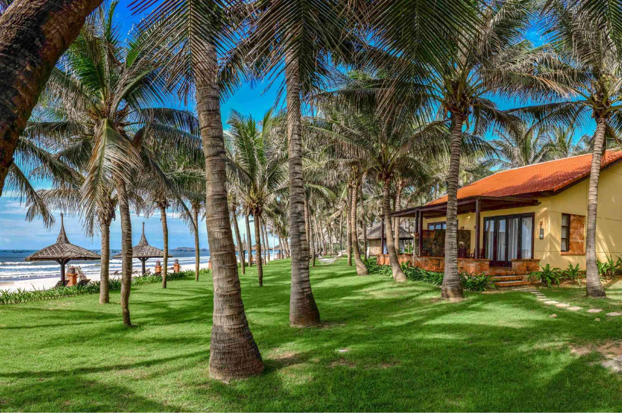 Khuôn viên xanh mát bên bờ biển của Pandanus Resort