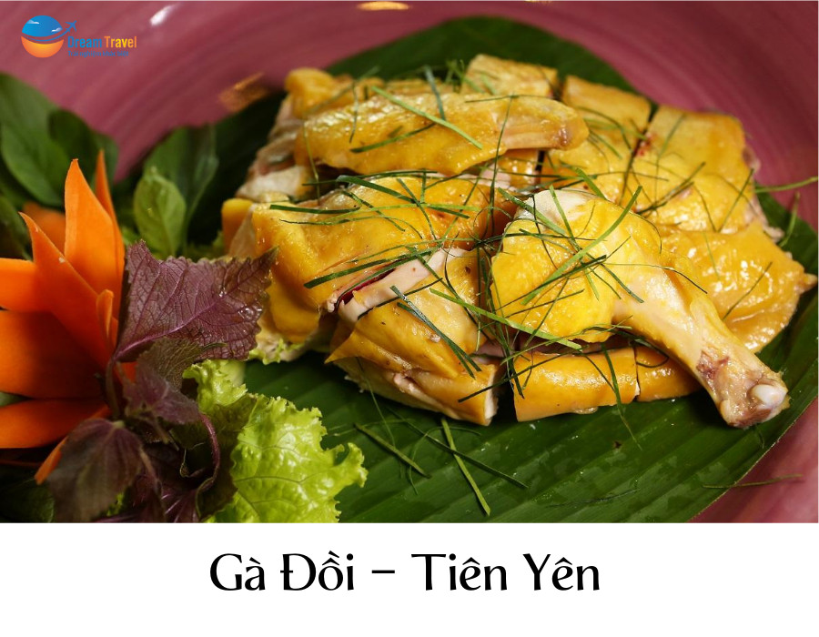 Món gà đồi Tiên Yên luộc với da vàng óng, được chặt miếng bày ra đĩa