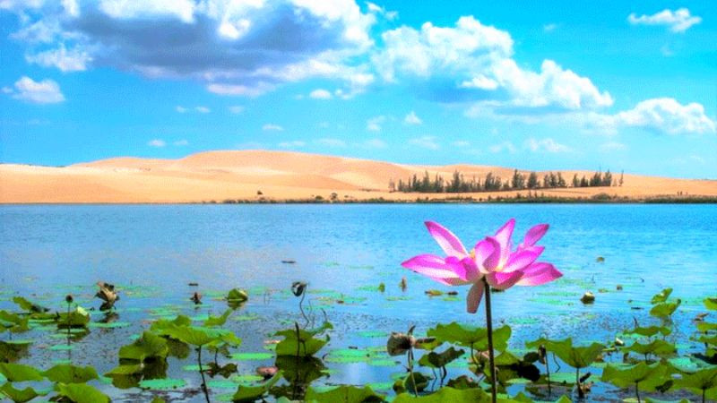 Bàu Trắng và những đồi cát mênh mông