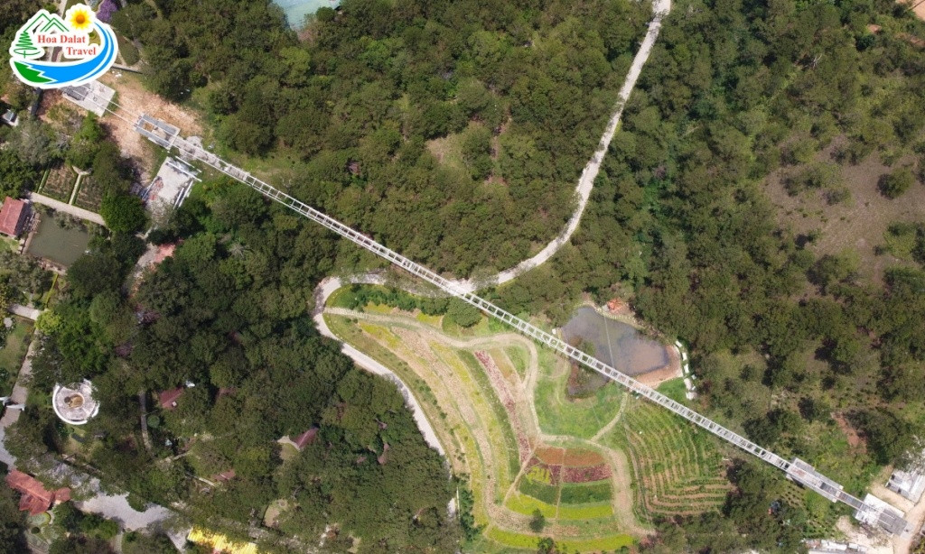 Ngắm cảnh Đà Lạt thơ mộng từ trên Cầu Kính Ngàn Thông