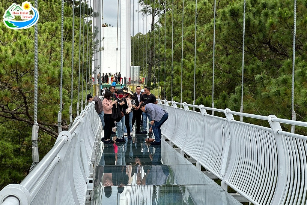 Lối vào Cầu Kính Ngàn Thông tại KDL Thung Lũng Tình Yêu