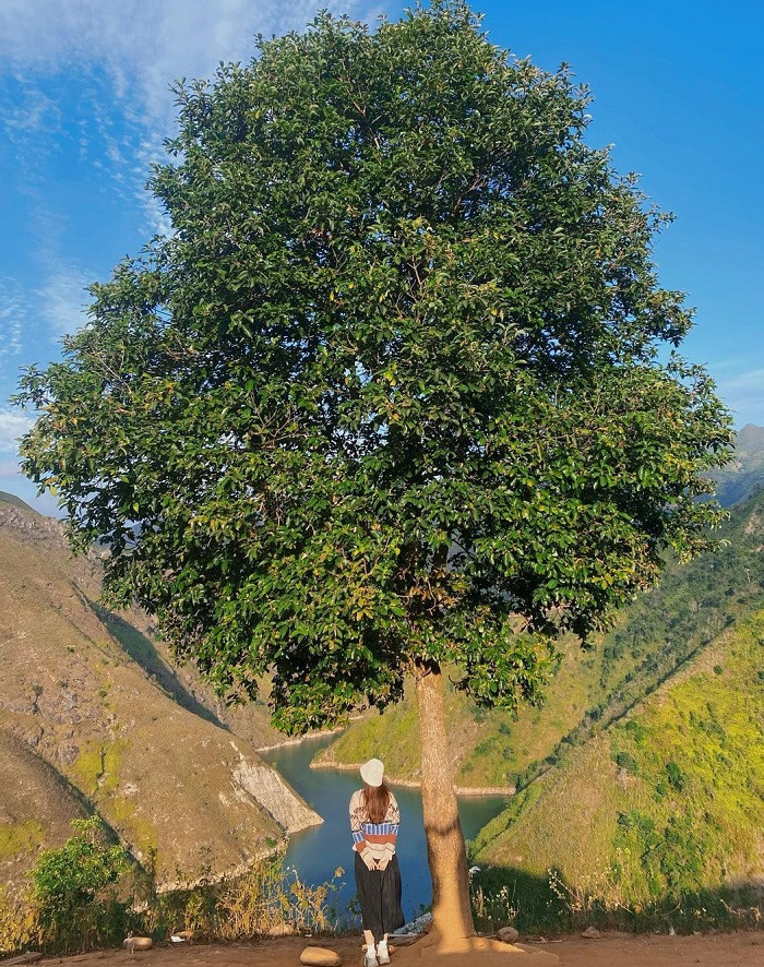 Du khách nên chọn trang phục phù hợp với thời tiết Tà Xùa