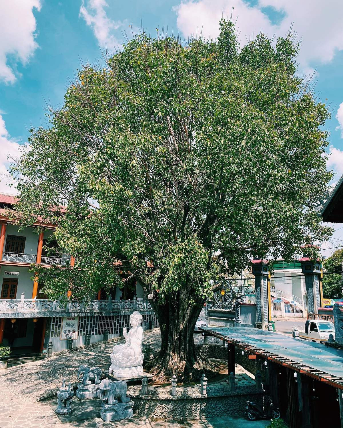 Toàn cảnh một khu vực trong chùa Sắc Tứ Khải Đoan vào buổi chiều