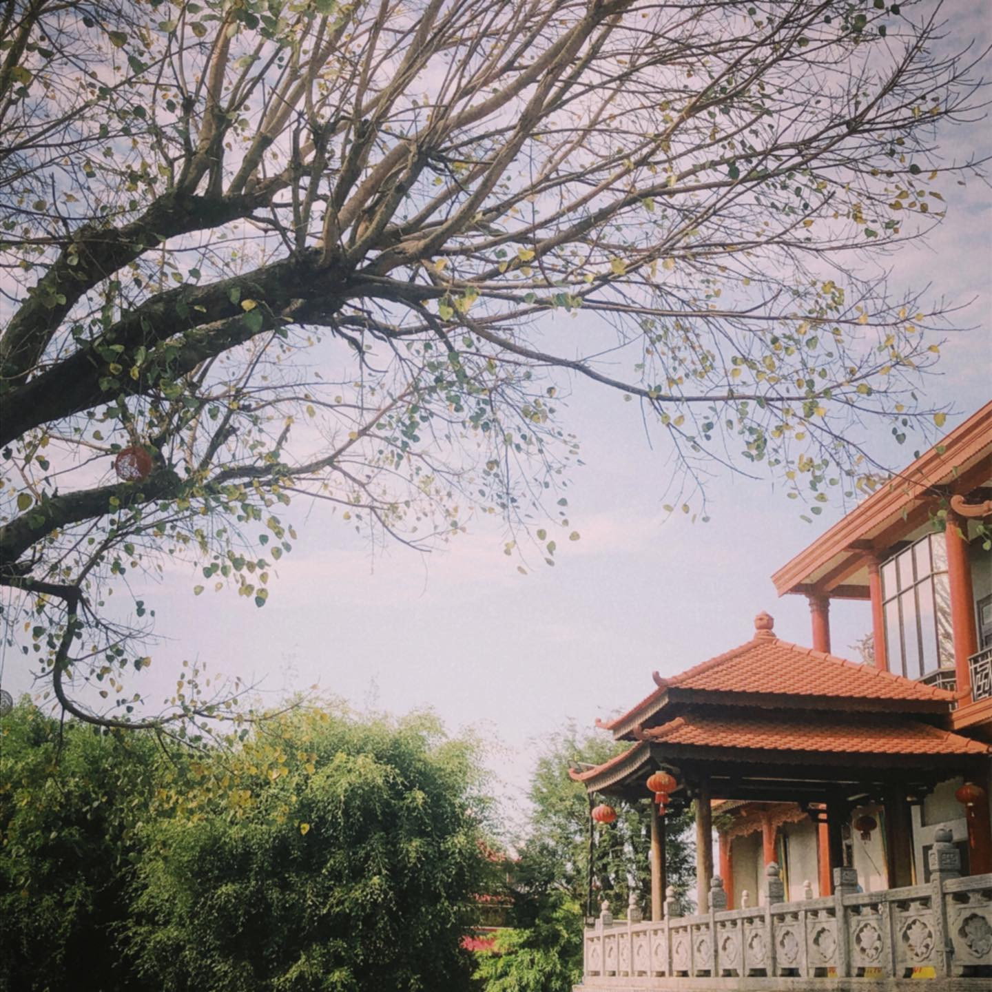 Tạo dáng nhẹ nhàng bên kiến trúc cổ điển của chùa Khải Đoan