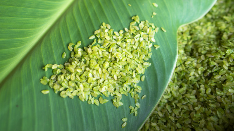 Cốm - thức quà tinh tế từ lúa non