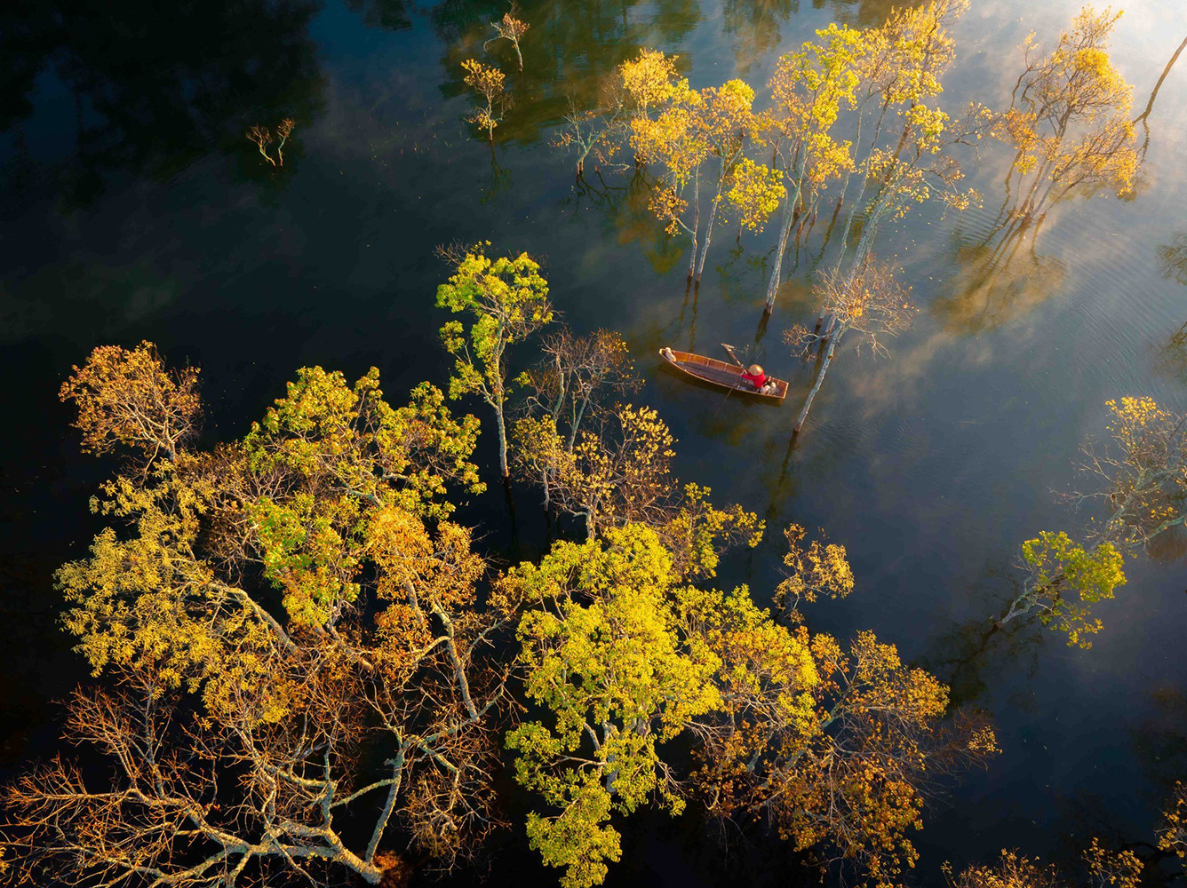 Toàn cảnh Suối Tía bình minh với sương mờ và rừng thông bao quanh