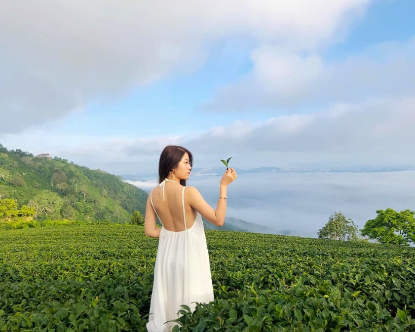 Đồi Chè Cầu Đất Đà Lạt: Cẩm Nang Khám Phá & Săn Mây Từ A-Z 10 Du khách tham quan đồi chè Cầu Đất vào một buổi sáng đẹp trời