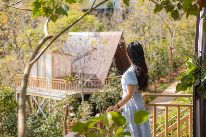 Đồi Chè Cầu Đất Đà Lạt: Cẩm Nang Khám Phá & Săn Mây Từ A-Z 9 Một góc homestay có view nhìn ra đồi chè Cầu Đất lãng mạn