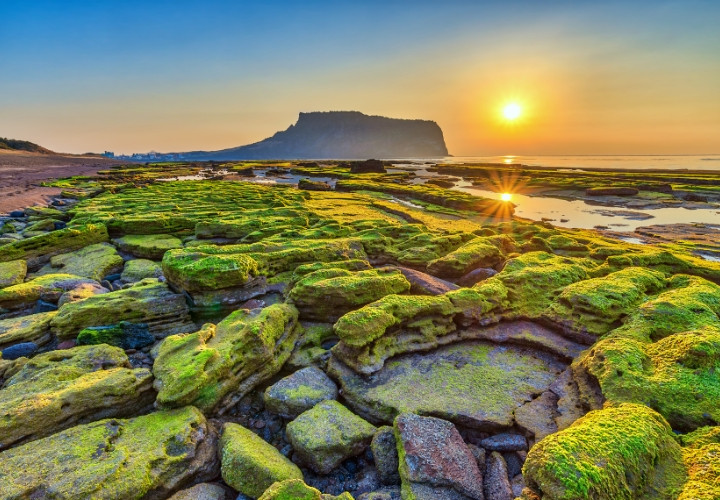Jeju được mệnh danh là Hawaii của Hàn Quốc
