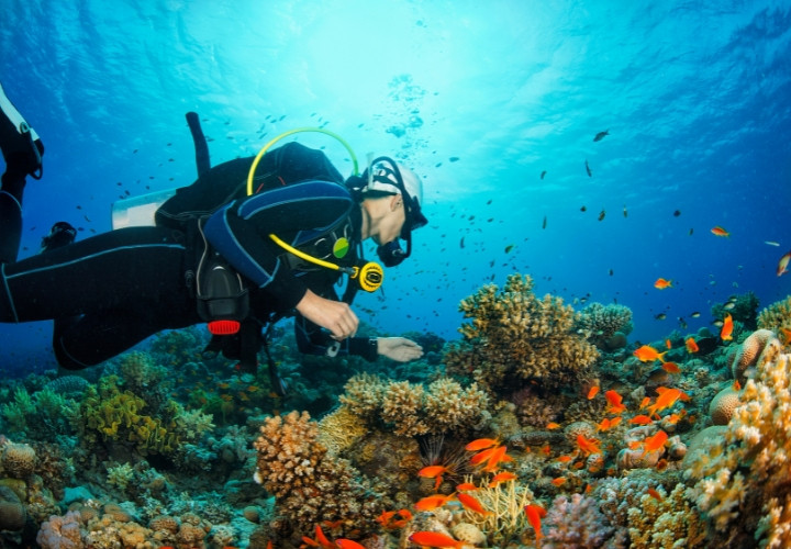 Du khách có thể lặn biển ngắm san hô