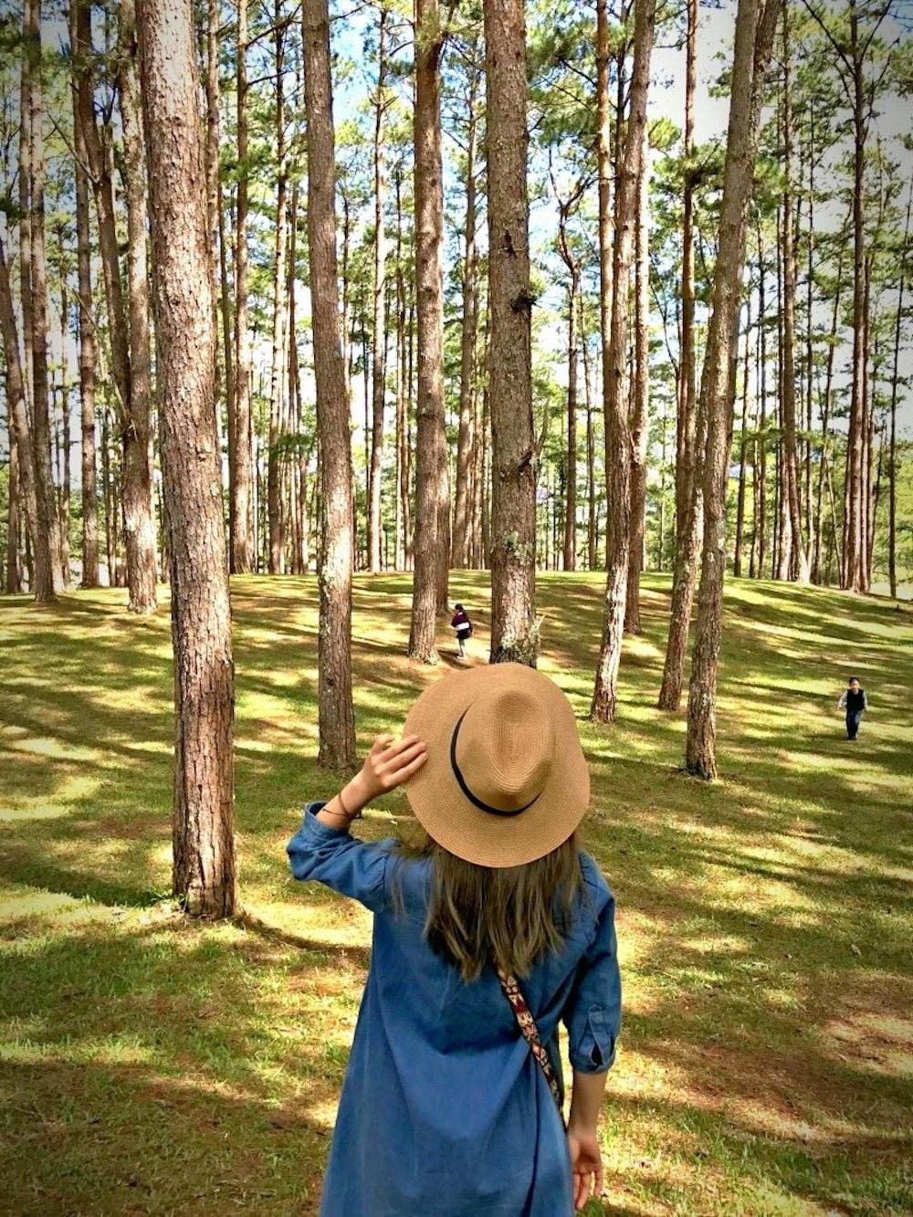 Đường Hầm Điêu Khắc Đà Lạt: Tất Tần Tật Kinh Nghiệm Tham Quan Làng Đất Sét 2025 13 Rừng thông Đà Lạt xanh mướt và yên bình