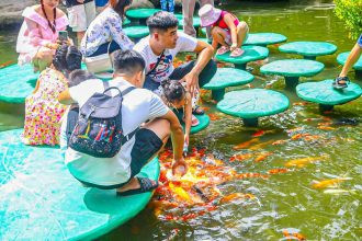 Trải nghiệm cho cá bú bình độc đáo, một hoạt động thư giãn tại Mỹ Khánh